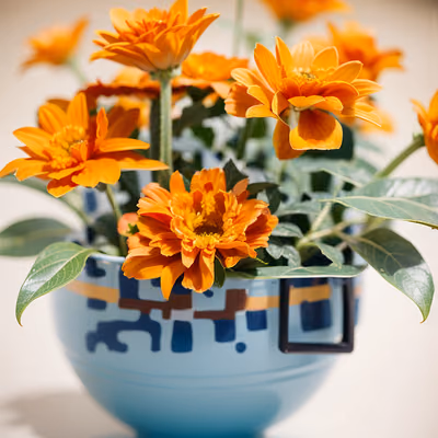 Оранжевые бархатцы в гончарной вазе: QR-код — изображение 1