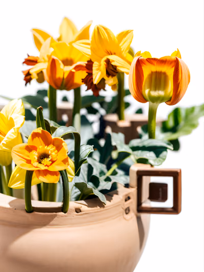 Daffodils in Clay Pot Photo QR Code for Packaging — image 1