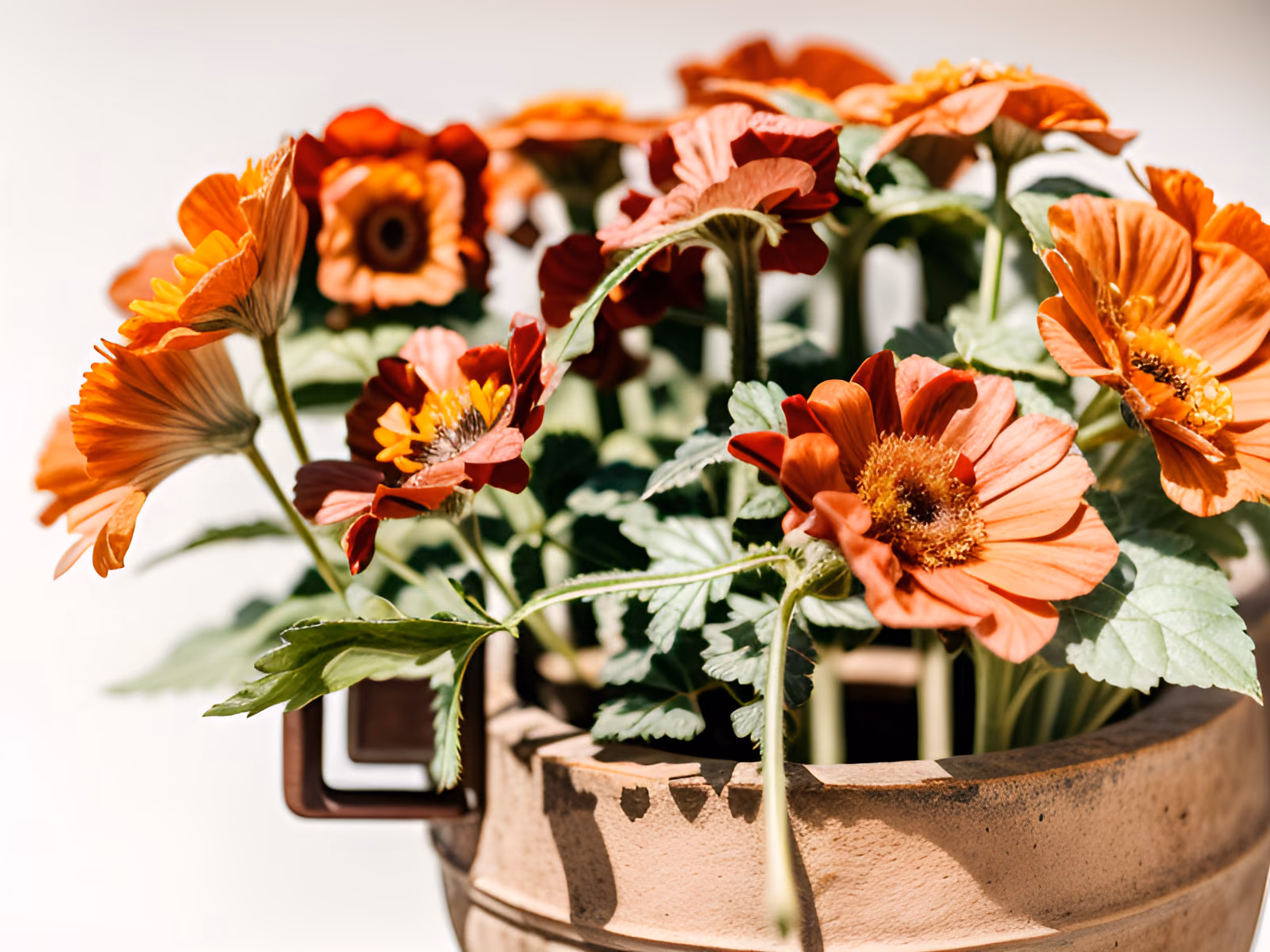 Red Geranium Clay Pot Photo QR Code Art — image 1