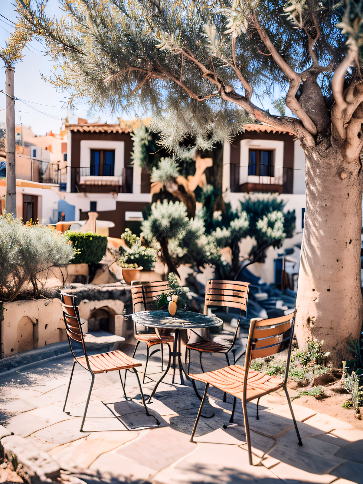 Greek Olive Tree Cafe Photo QR Code for Posters — image 1