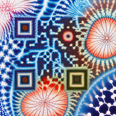 Микроскопические ботанические фракталы: QR-код как произведение искусства — изображение 1